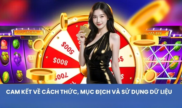 Cam kết về cách thức, mục đích và sử dụng dữ liệu